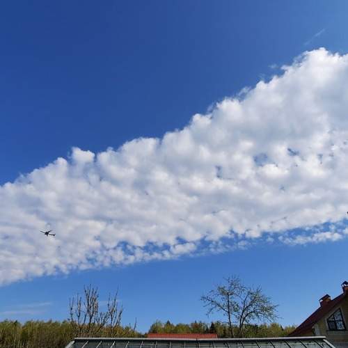 Photo #13749550