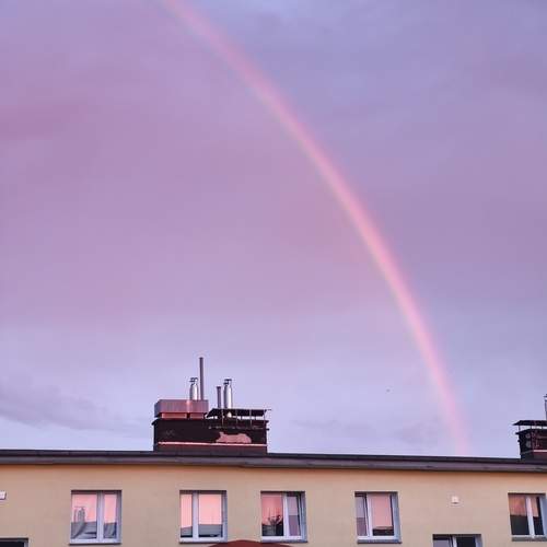 Photo #13749567