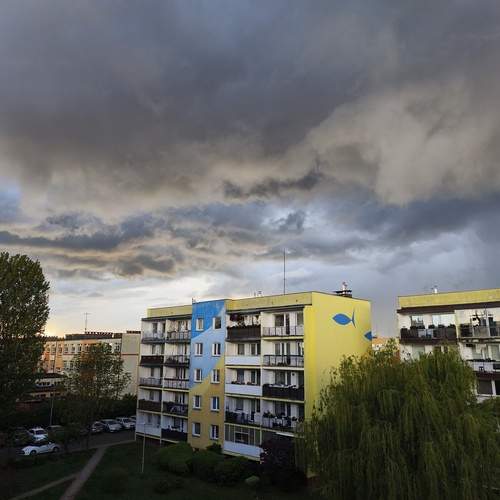 Photo #13749568