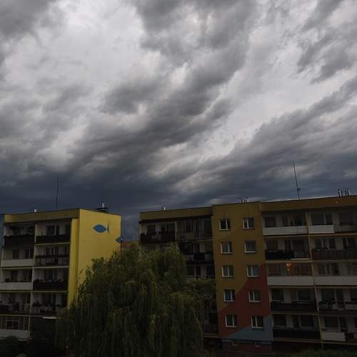 Photo #13749569
