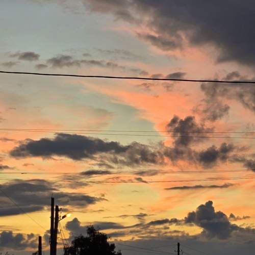 Photo #13749572