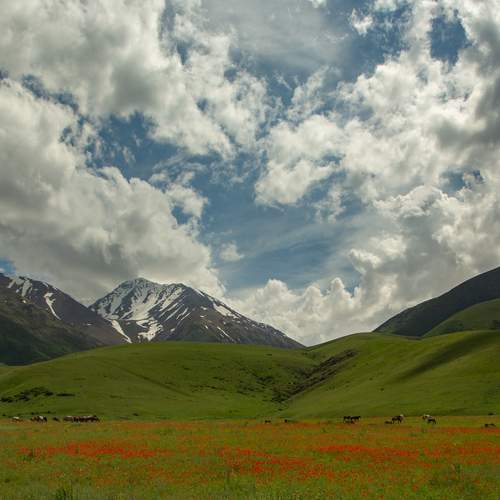 Photo #13749594