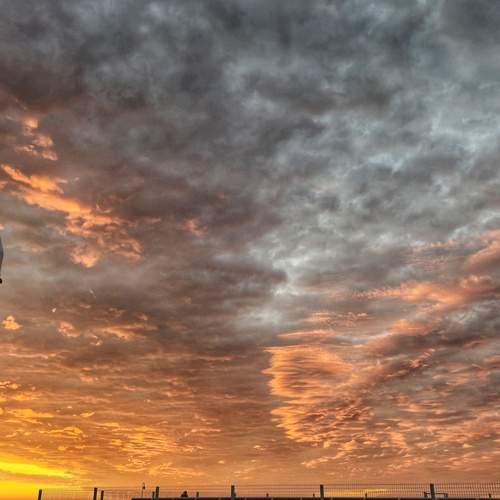 Photo #13749599
