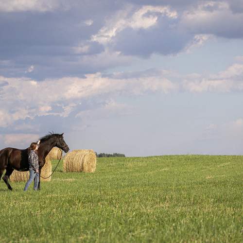 Photo #13749642