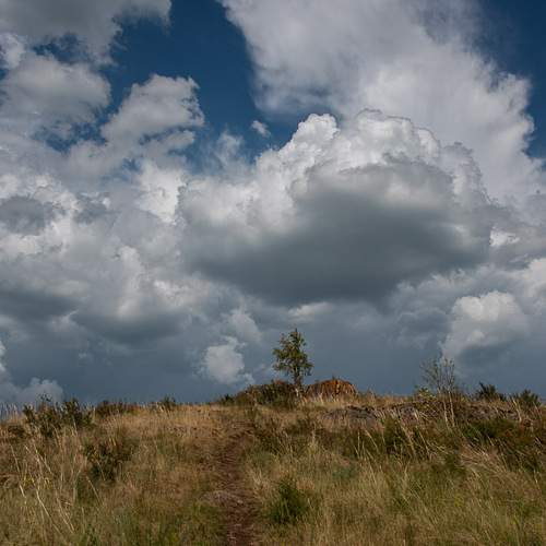 Photo #13749646