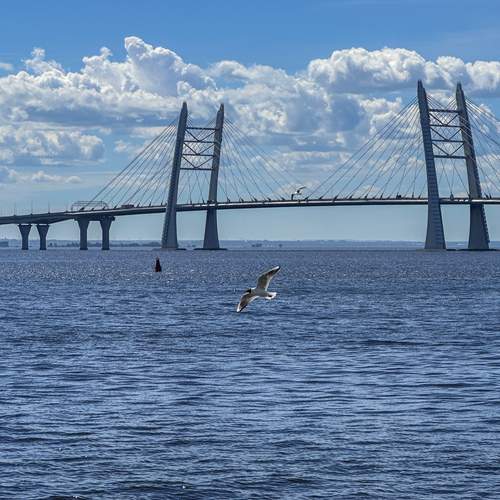 Photo #13749653