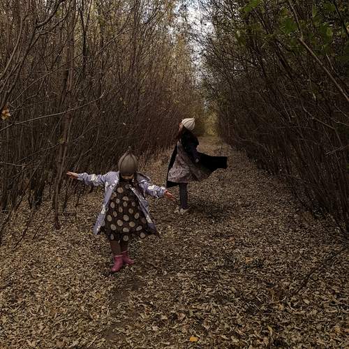 Photo #13749671