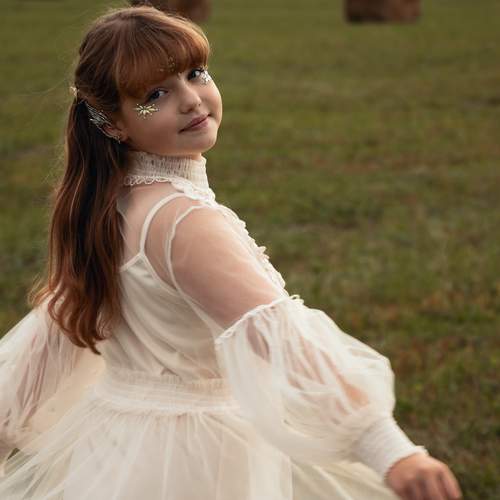 Photo #13749686