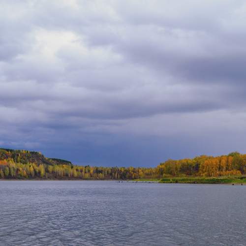 Photo #13749736