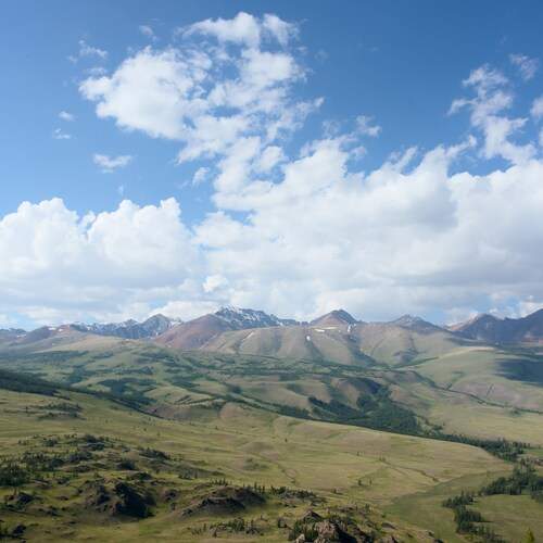 Photo #13749743
