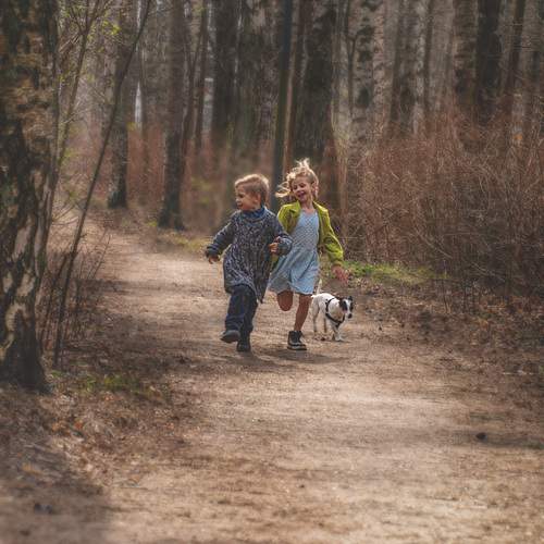 Photo #13749750