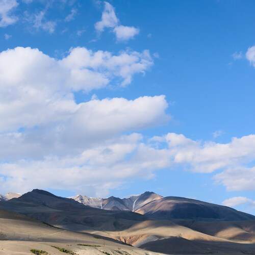 Photo #13749775