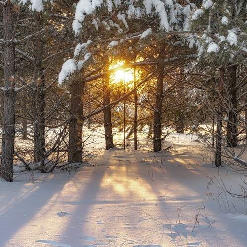 Photo #13749776
