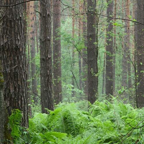 Photo #13749778