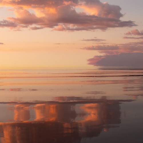 Photo #13749781