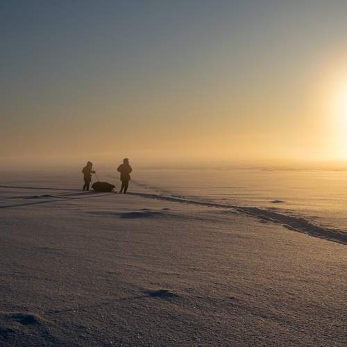 Photo #13749806