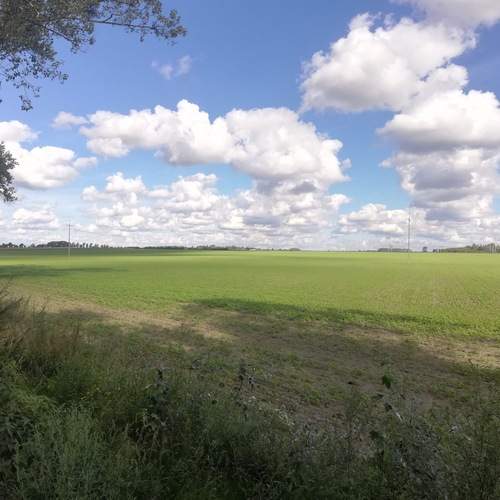 Photo #13749810
