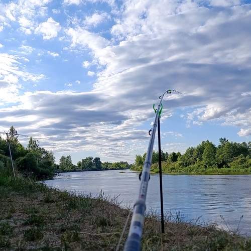 Photo #13749811