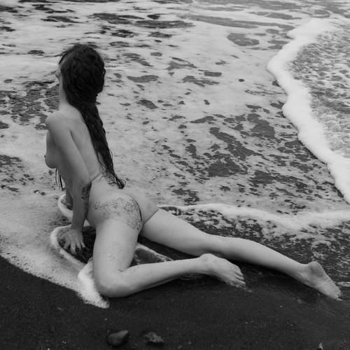 Photo #13749825