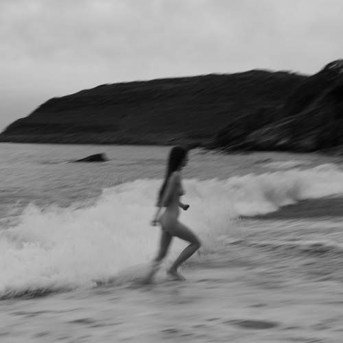 Photo #13749827