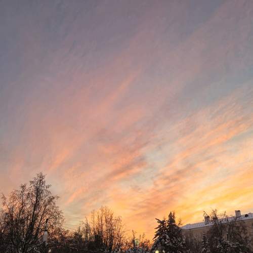 Photo #13749844