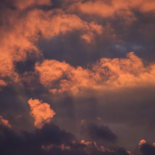 Photo #13749860