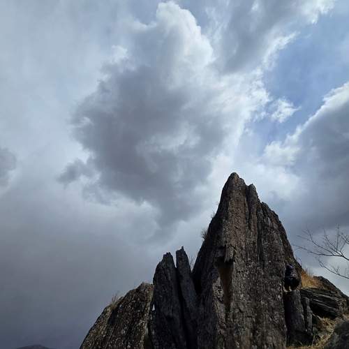 Photo #13749874