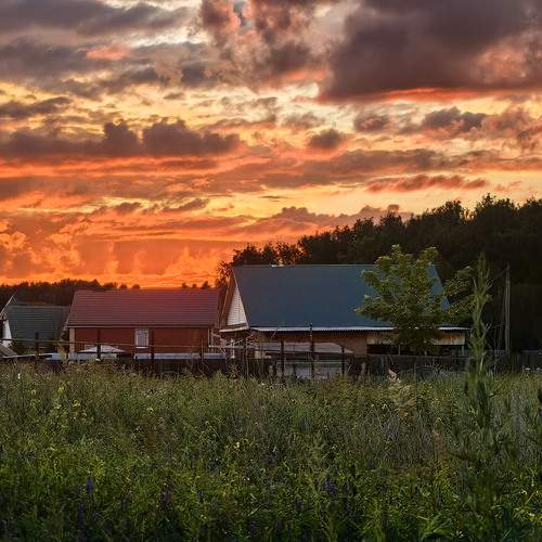 Photo #13749920