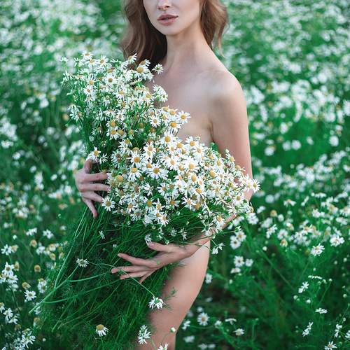 Photo #13749954