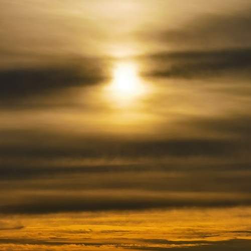Photo #13749982