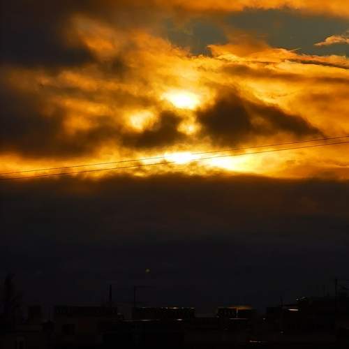 Photo #13749989