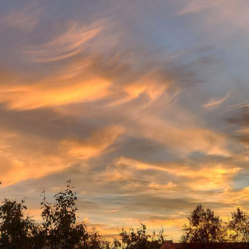 Photo #13749992