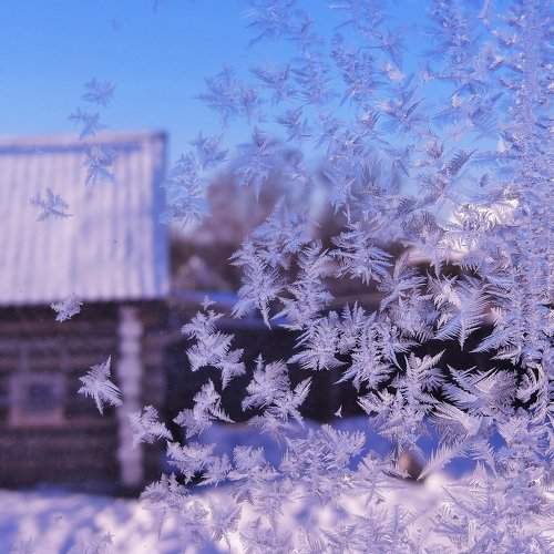 Морозное утро