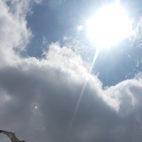Photo #1377122