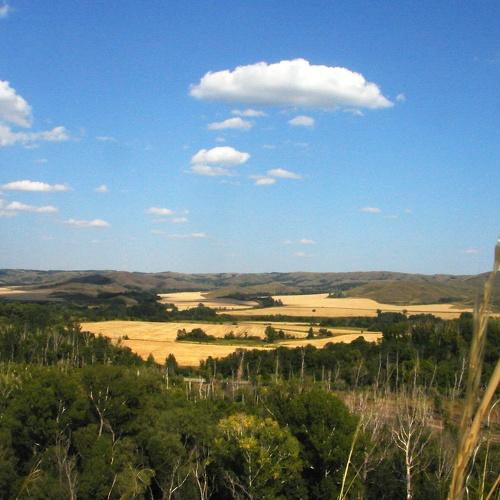 Photo #1379318
