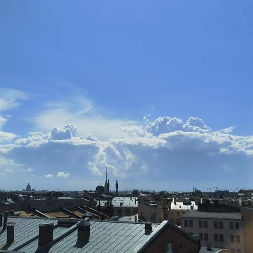 Photo #13750022