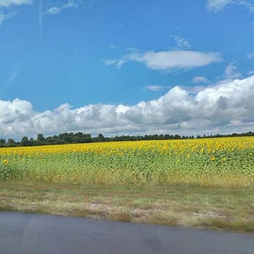 Photo #13750036