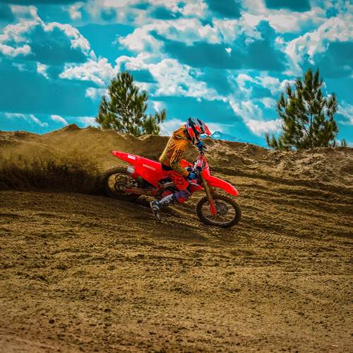 Photo #13750054
