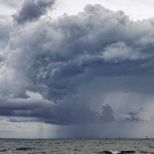 Photo #13750069