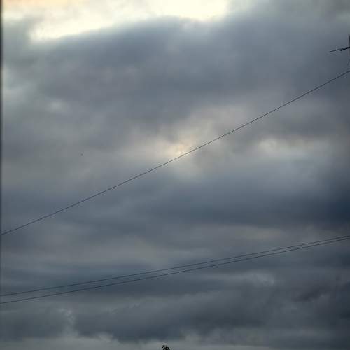 Photo #13750103