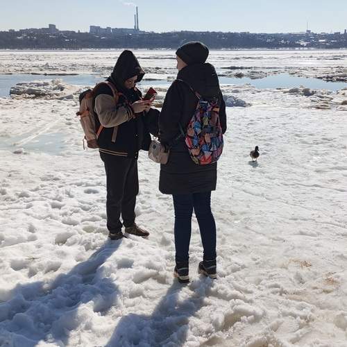 Photo #13750105