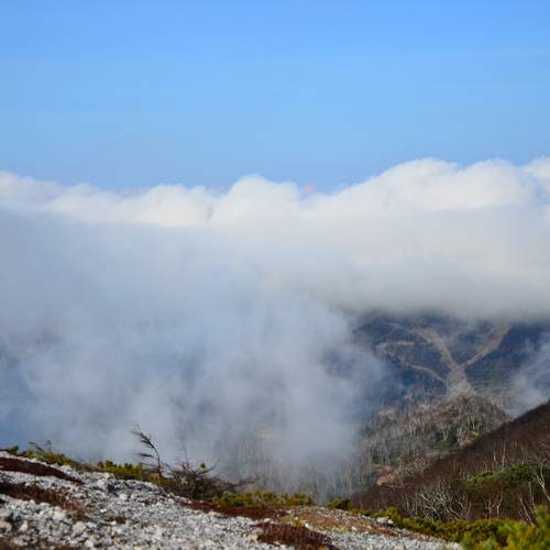 Photo #13750110