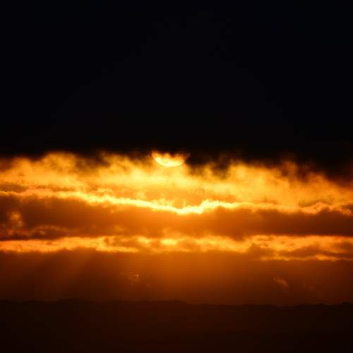 Photo #13750112