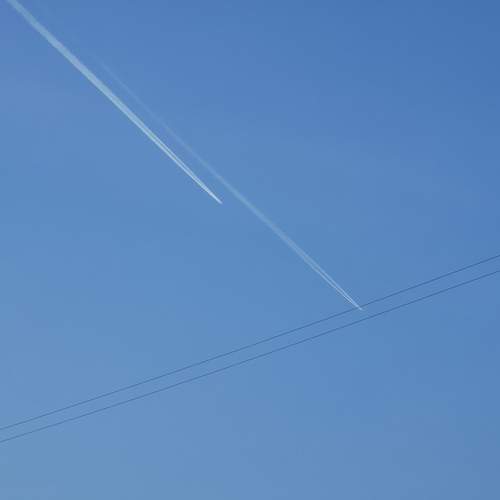 Photo #13750125