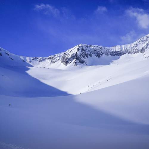 Photo #13750163