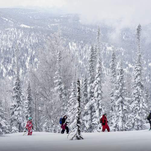Photo #13750164