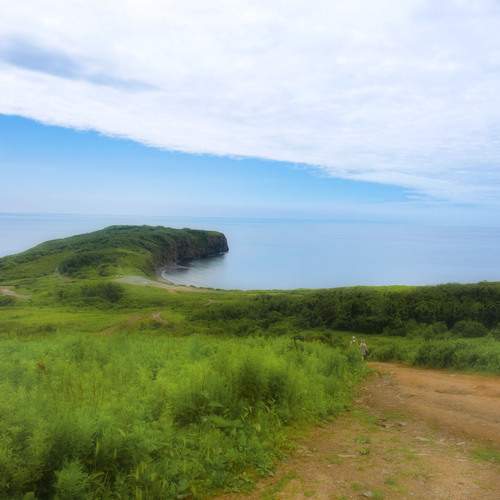Photo #13750193