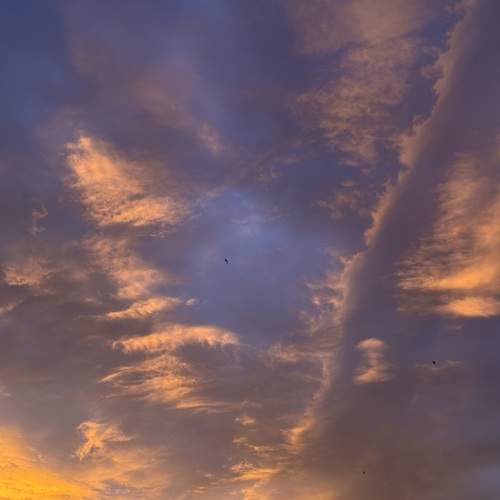 Photo #13750229