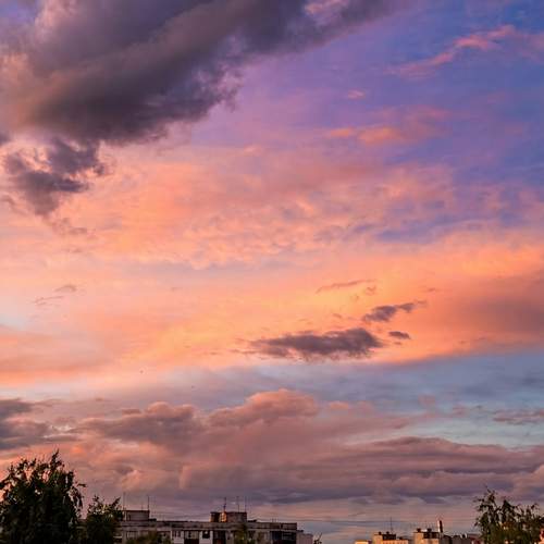 Photo #13750230