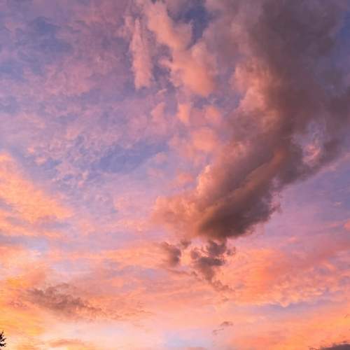 Photo #13750231
